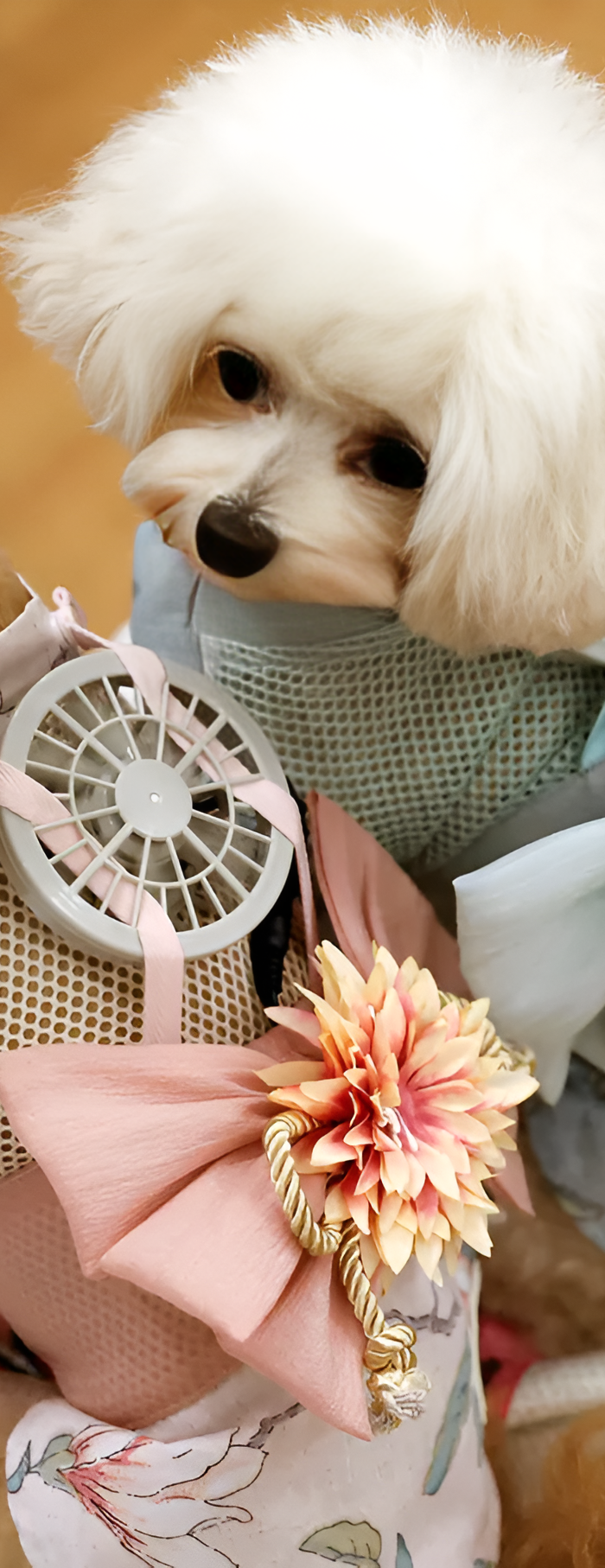 <h2><strong>Premium Pet Care, Delivered to Your Door</strong></h2>