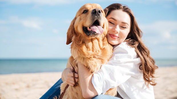 Banner image for: <h2>Because Pets Are Family</h2>