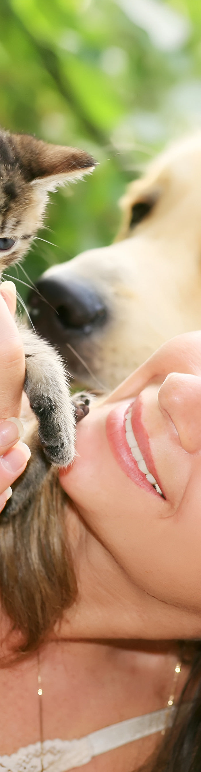 <h2>Healthy Pets Start with Great Care</h2>